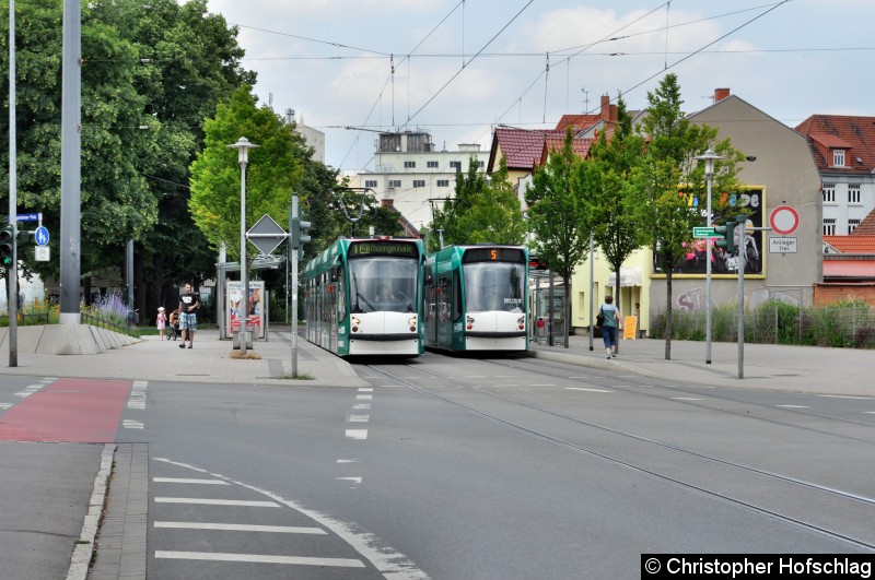 Bild: TW 631 am Ilvergeshofner Platz auf der Linie 1 und TW 635 auf der Linie 5 Richtung Zoopark.