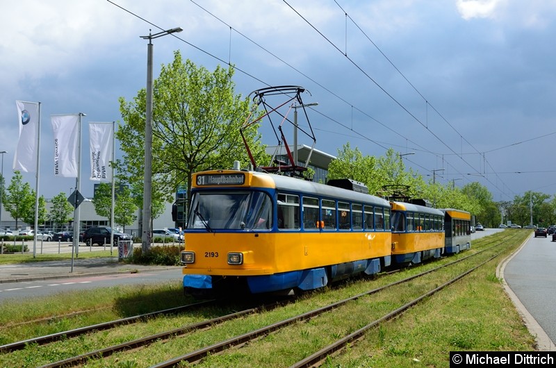 Bild: 2193 + 2191 + 930 als Linie 31 kurz vor der Haltestelle An den Tierkliniken.