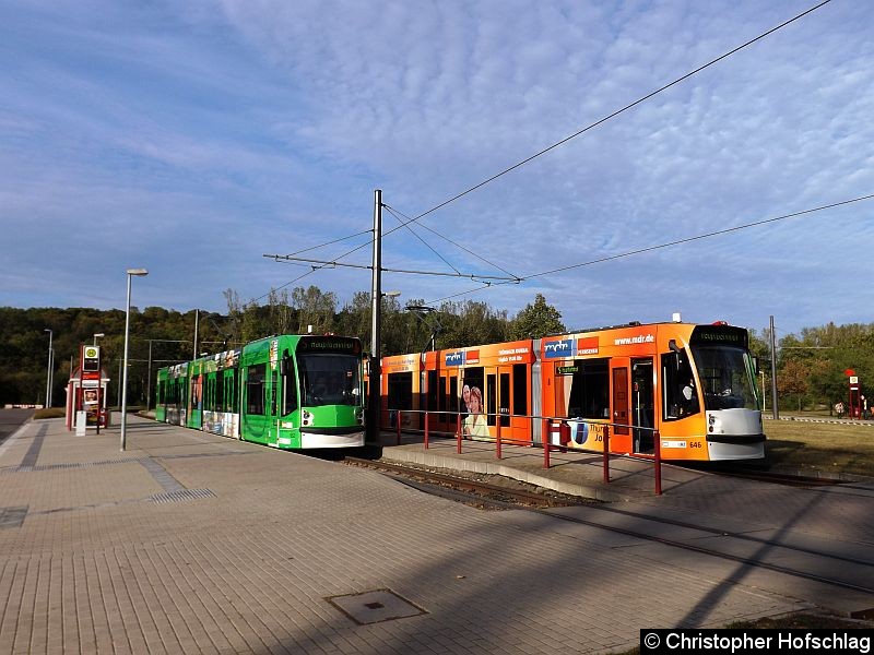Bild: Haltestelle Zoopark als Linie 5 zum Hauptbahnhof.
