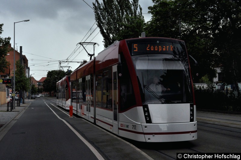 Bild: TW 717+715 auf der Linie 5 in der Salinenstraße.