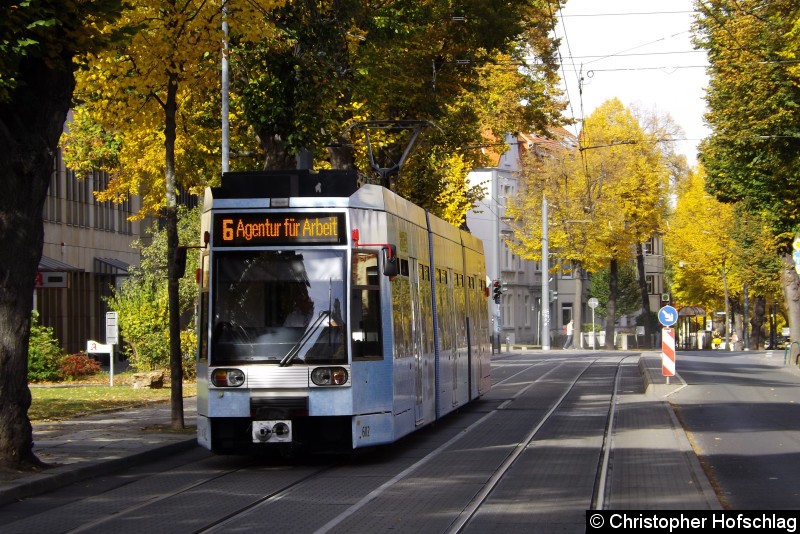 Bild: Als Linie 6 in der Friedrich-Ebert-Straße.