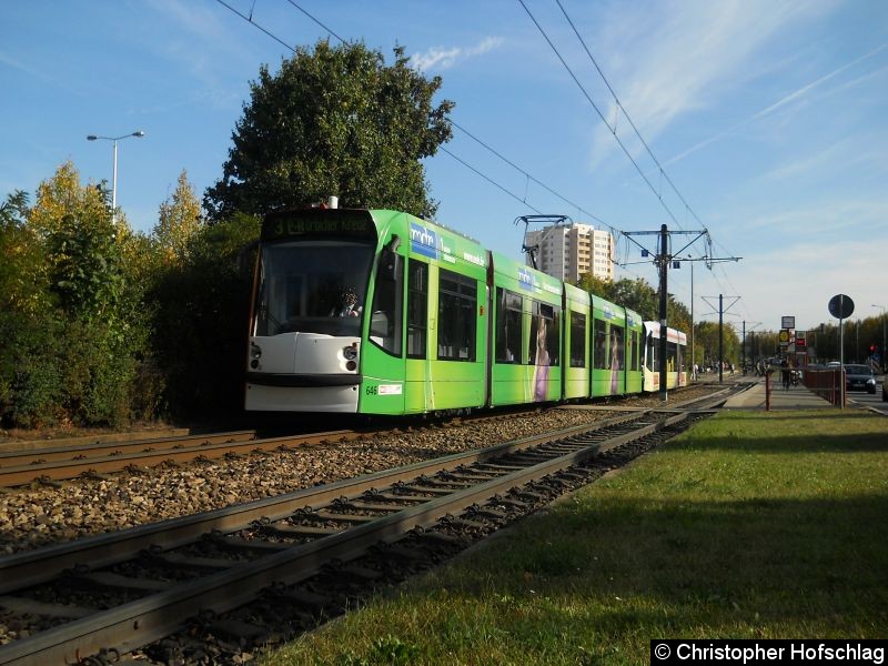 Bild: TW 646+708 auf der Linie 3 höhe Thüringen-Park.