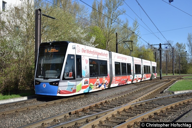 Bild: TW 611 als Linie 5 kurz vor der Haltestelle Rügener Straße.