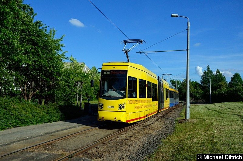 Bild: 1335 + 1313 als Linie 8 an der Endstelle Grünau Nord.