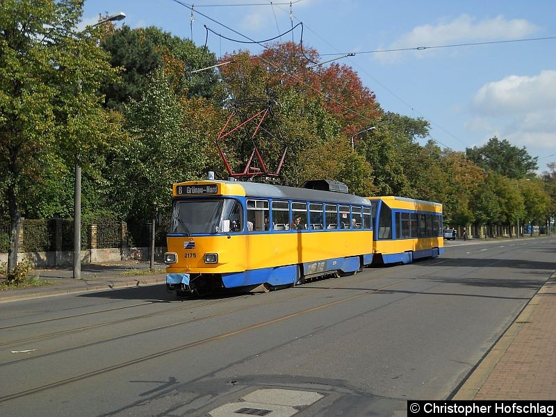 Bild: Tw 2175+923 auf der Linie 8 an der Haltstelle Ostheimstraße.