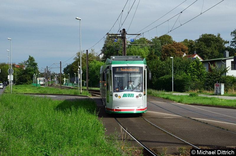 1380 als Linie 1 beim Erreichen der Haltestelle Westring.