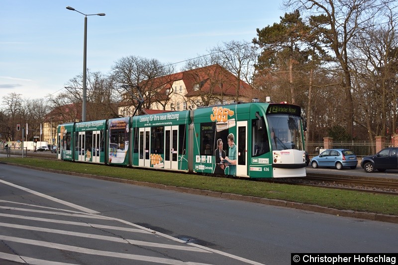 TW 636 als Linie 3 auf der Nordhäuser Straße/Höhe alte Zahnklinik in Richtung Urbicher Kreuz Bild: TW 636 als Linie 3 auf der Nordhäuser Straße/Höhe alte Zahnklinik in Richtung Urbicher Kreuz