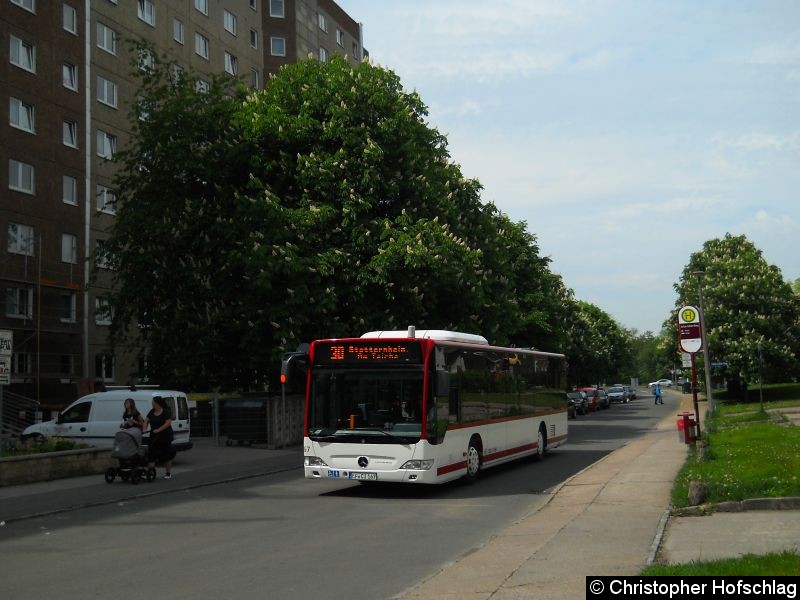 Bild: Bus 167 als Linie 30 am Julius-Leber-Ring.