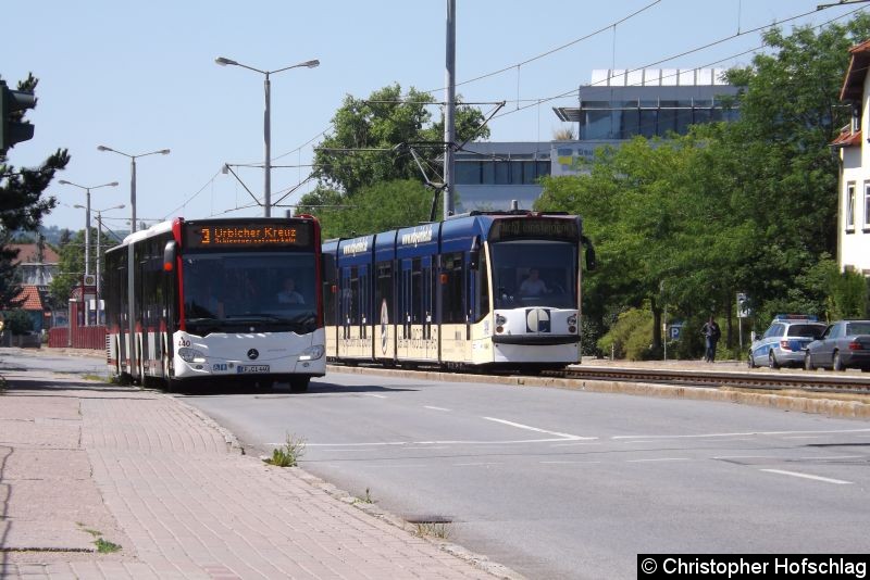 Citaro C2 440(links) als SEV3 in Richtung Urbicher Kreuz und Combino 644(rechts) als Nicht Einsteigen in der Kranichfelder Straße. Bild: Citaro C2 440(links) als SEV3 in Richtung Urbicher Kreuz und Combino 644(rechts) als Nicht Einsteigen in der Kranichfelder Straße.