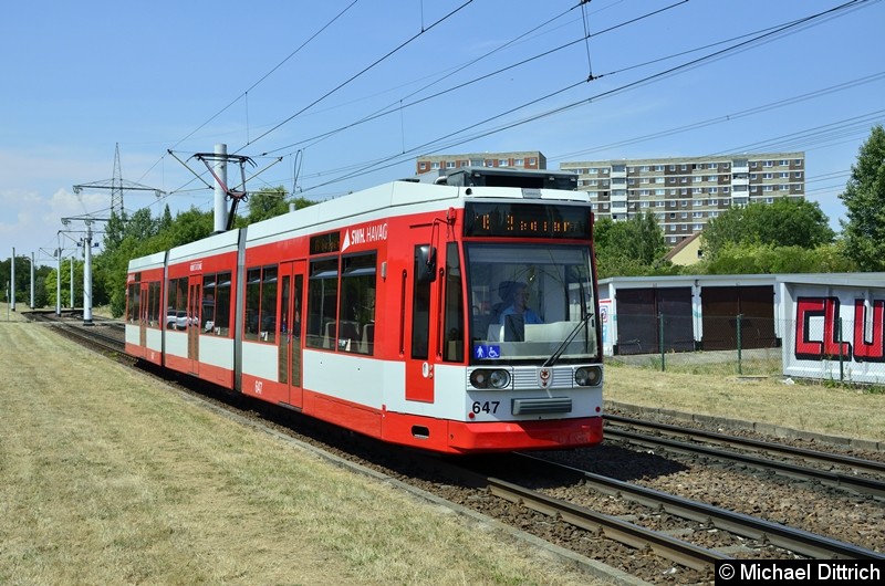Bild: 647 als Linie 16 kurz vor der Endstelle Beesen.