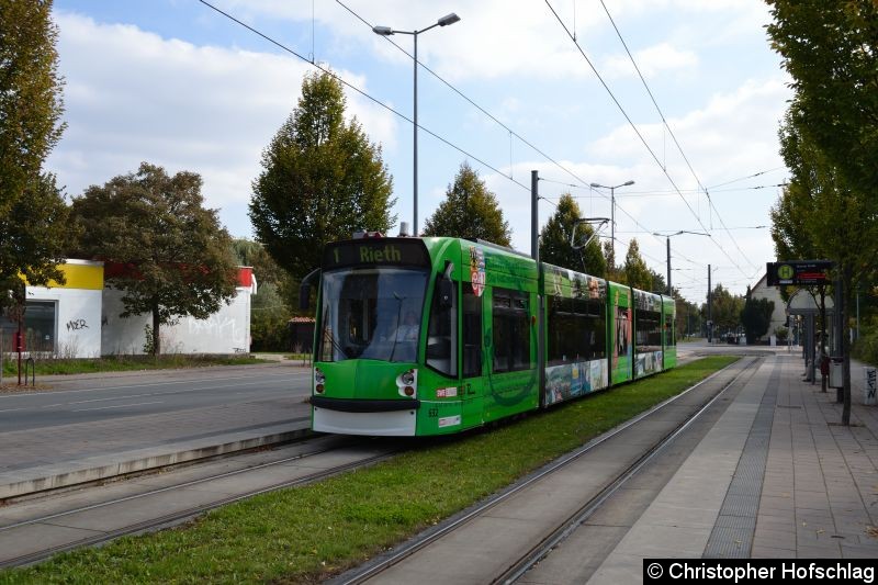 Bild: TW 632 als Linie 1 an der Haltestelle Mainzer Straße.