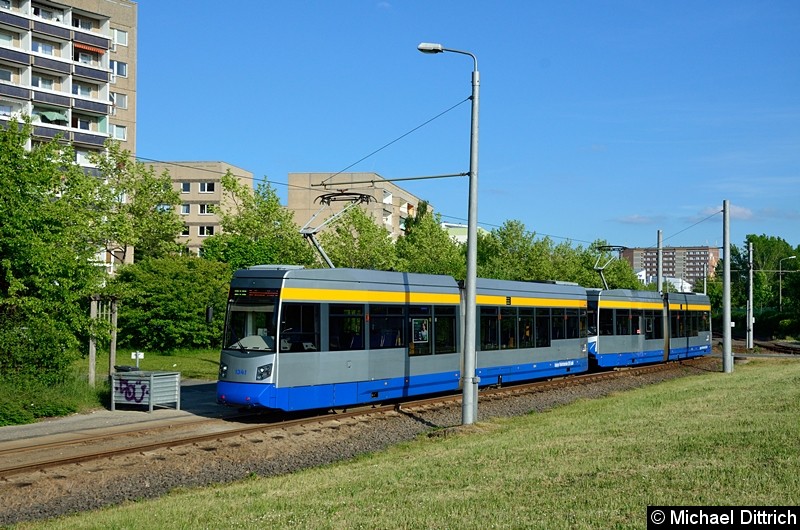 Bild: 1341 + 1318 als Linie 8 an der Endstelle Grünau Nord.