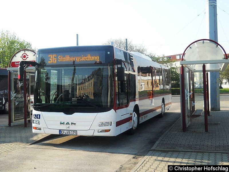 Bild: Bus 175 in der Grubenstraße.