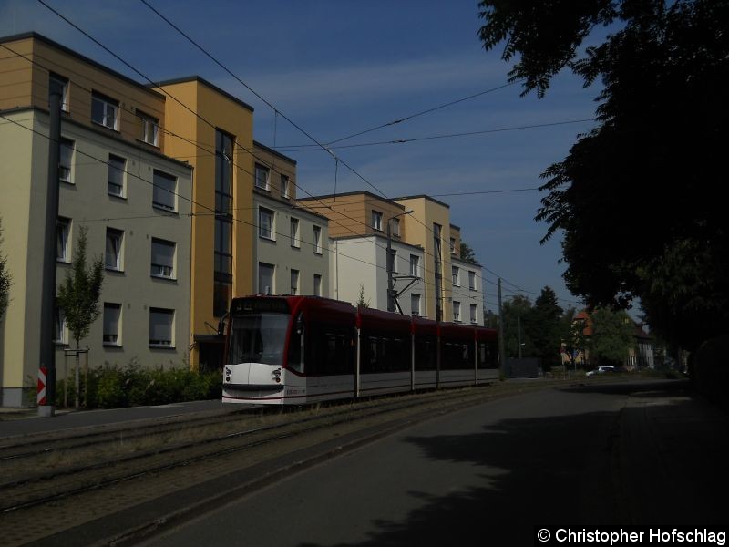 Bild: TW 636 der Linie 3 in der Melchendorfer Straße.