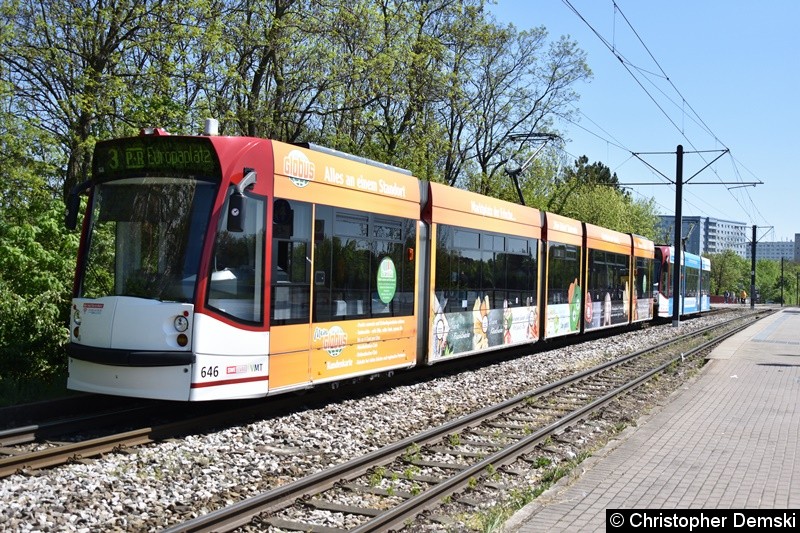 TW 646+709 als Linie 3 in Bereich Nordhäuser Straße auf den Weg zur Haltestelle Thüringen-Park.