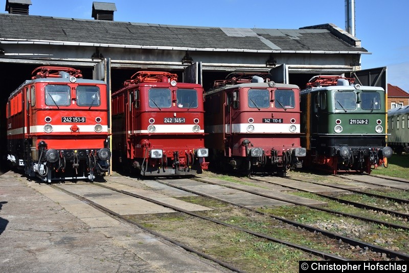 BR 242 151-9,BR 242 145-1,BR 142 110-6 und BR 211 049-2 vor den Lokschuppen in BW Weimar.