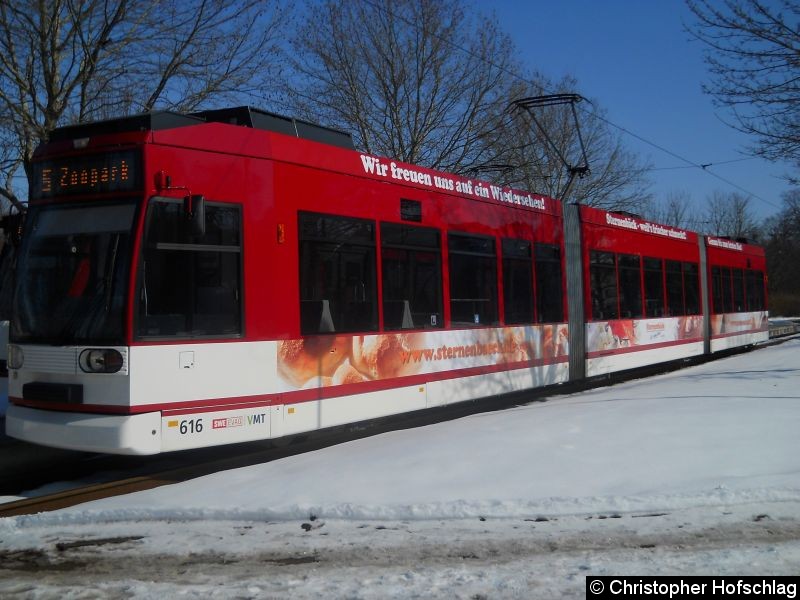 Bild: TW 616 als Linie 5 an der Thüringenhalle.