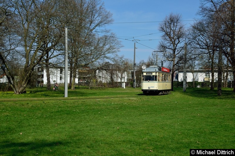 Bild: 1464 im Park Naunhofer Str.