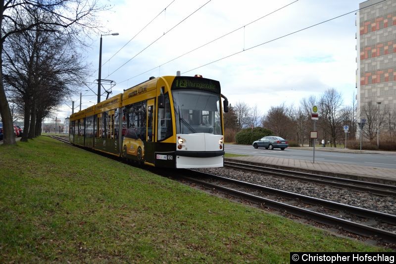 Bild: TW 650 als Linie 1 kurz vor der Haltestelle Berliner Straße.