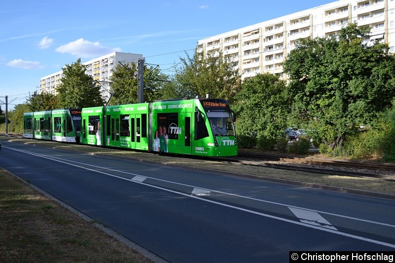 Bild: TW 719+714 als Linie 3 in Bereich Nordhäuser Straße/Thüringen-Park.