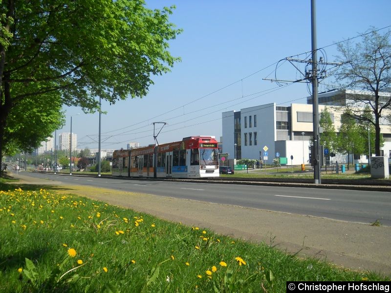 Bild: TW 616 auf der Linie 6 in Berich Nordhäuser Straße/ Klinikum.