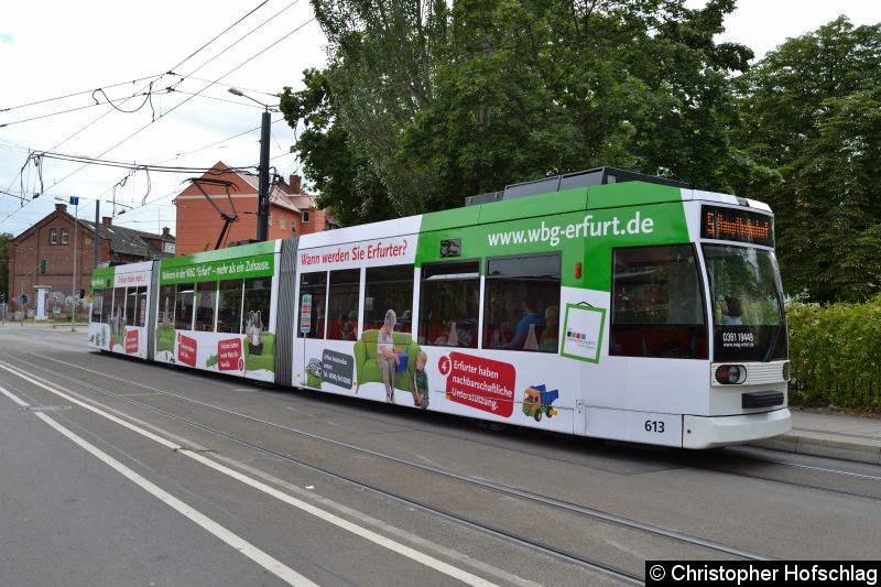 Bild: TW 613 als Linie 5 in der Haltestelle Salinenstraße.