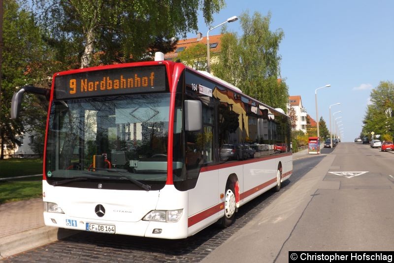 Bild: Bus 164 als Linie 9 in Daberstedt.