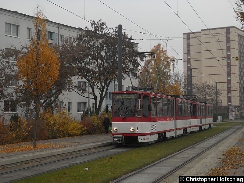 Bild: TW 524+525 auf der Linie 1 an der Haltstelle Manizer Straße.