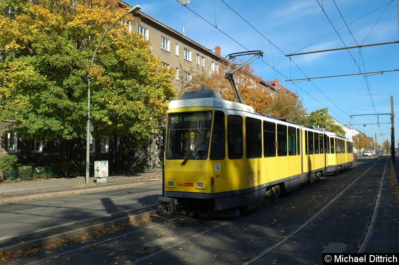 Bild: 6159+6049 als Linie M8 in der Endstelle Kniprodestr.