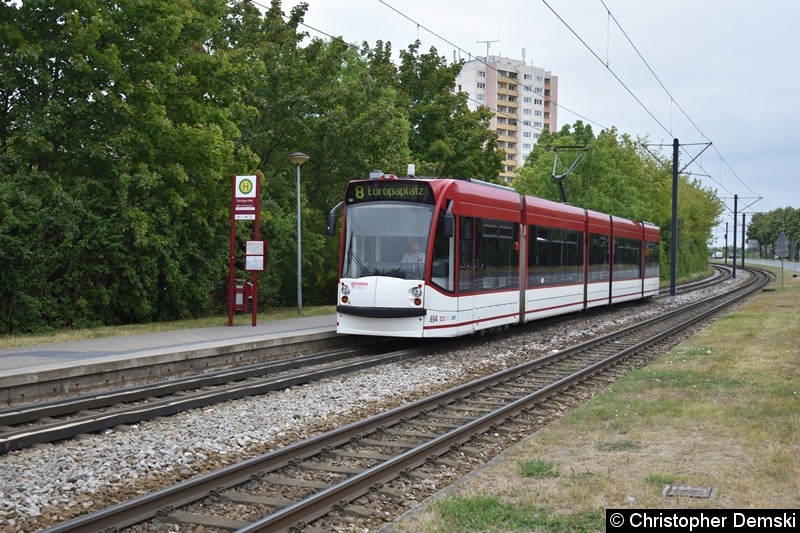 Bild: TW 654 als Linie 8 an der Haltestelle Thüringen-Park.