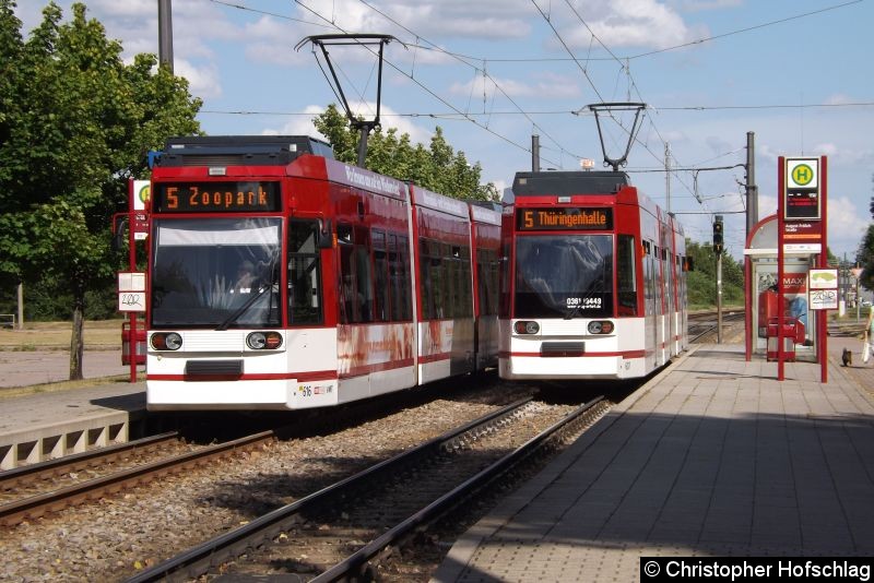 Bild: TW 616 Haltestelle August-Fröhlich-Straße.