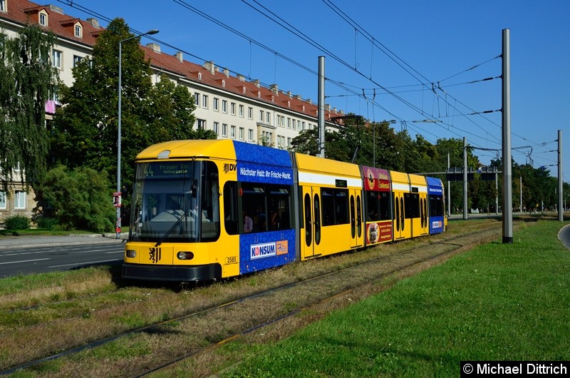 Bild: 2585 als Linie 44 in der Grunaer Straße zwischen den Haltestellen Deutsches Hygiene-Museum und Pirnaischer Platz.