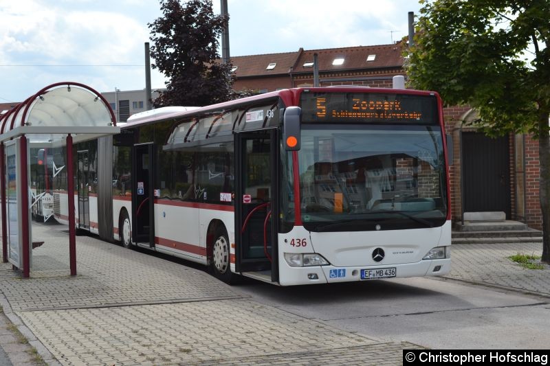 Bild: Wagen 436 als SEV-Linie 5 an der Grubenstraße.