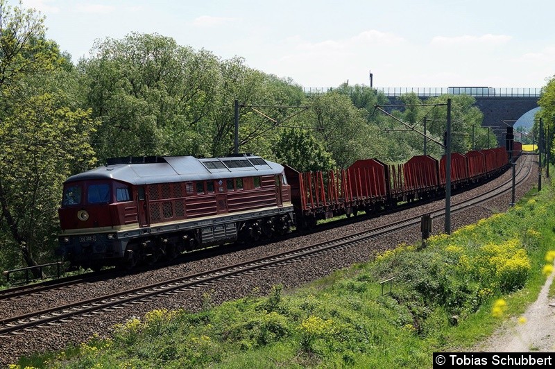 Bild: BR 132 293-2 mit einen Güterzug bei Jena