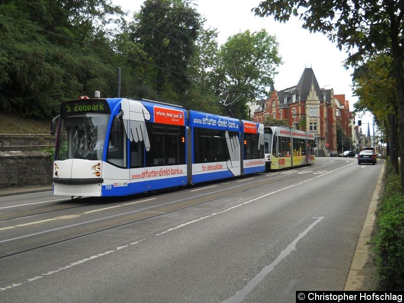 Bild: TW 709+708 am Stadtpark auf der Linie 5.