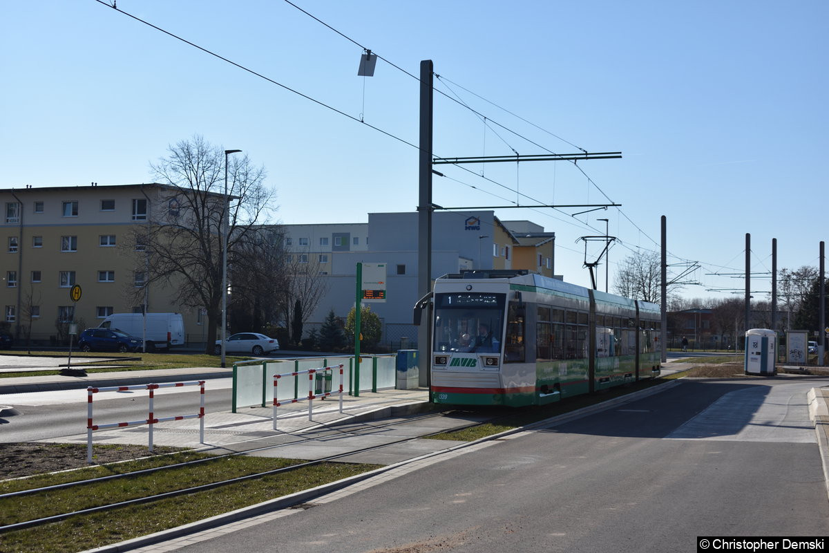 Bild: TW 1339 als Linie 1 an der Haltestelle Kannenstieg.