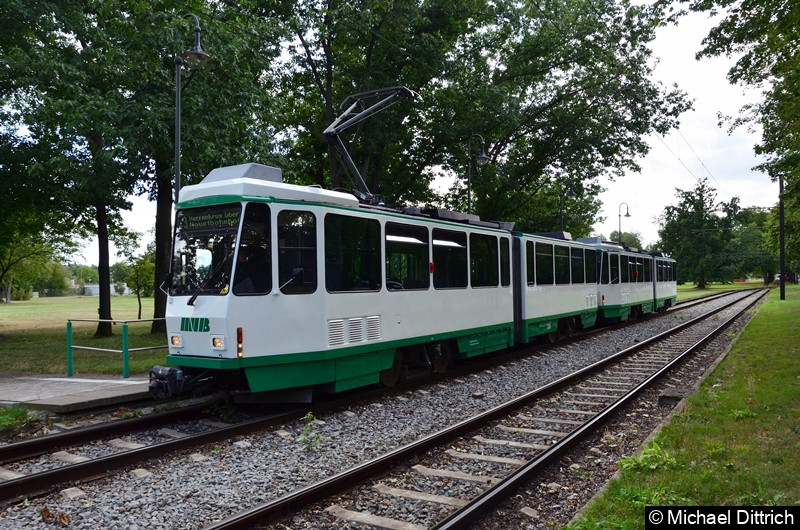 1288 und 1289 in der Endhaltestelle Herrenkrug.