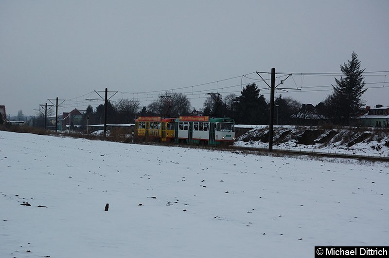Bild: 1272 + 1248 als Linie 3 auf dem Weg nach Klinikum Olvenstedt zwischen den Haltestellen Lindenhof/Flugplatz und Merkurweg.