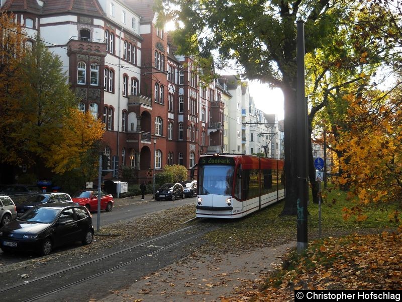 Bild: TW 641 auf der Linie 5 am der Haltestelle Löberwallgraben.