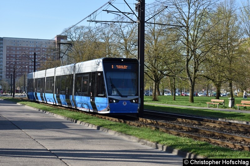 Bild: TW 603 als Linie 5 zwischen den Halestellen Warnowallee und Turkuer Str.