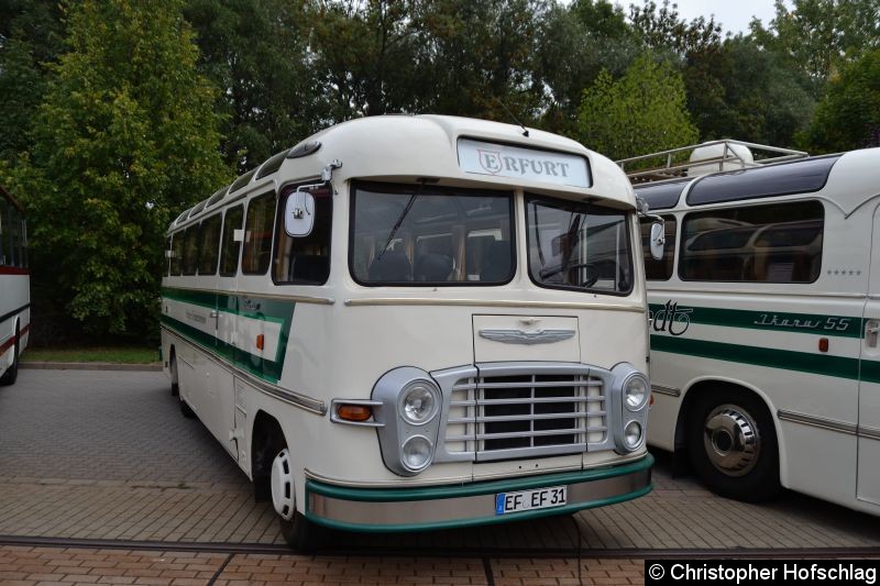 Bild: Bus 31 beim Tag der offnen Tür auf den Betriebshof Urbicher Kreuz.