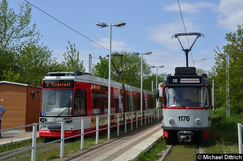 Sonderfahrt mit 1176 + 204: In der Abfahrtshaltestelle Soltauer Straße, daneben der 629 als Linie 2.