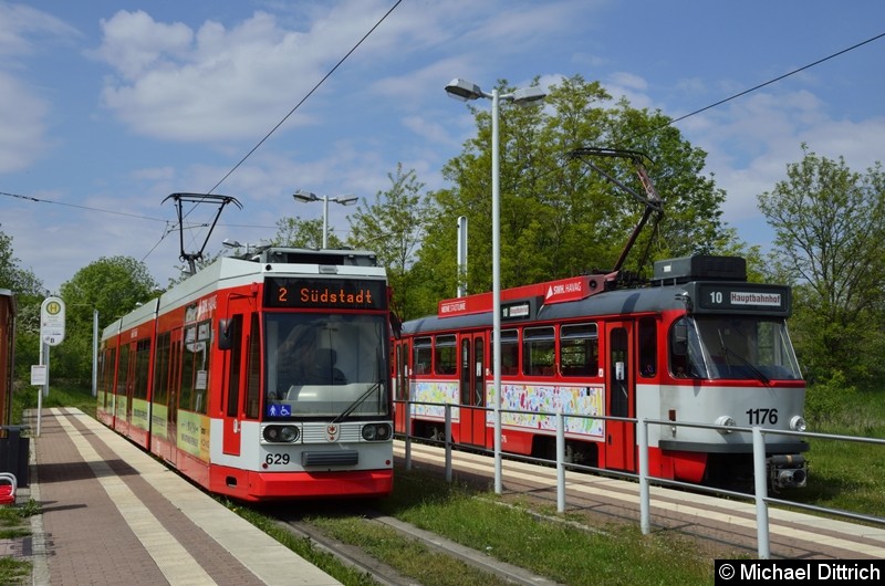 Bild: Sonderfahrt mit 1176 + 204: In der Abfahrtshaltestelle Soltauer Straße, daneben der 629 als Linie 2.