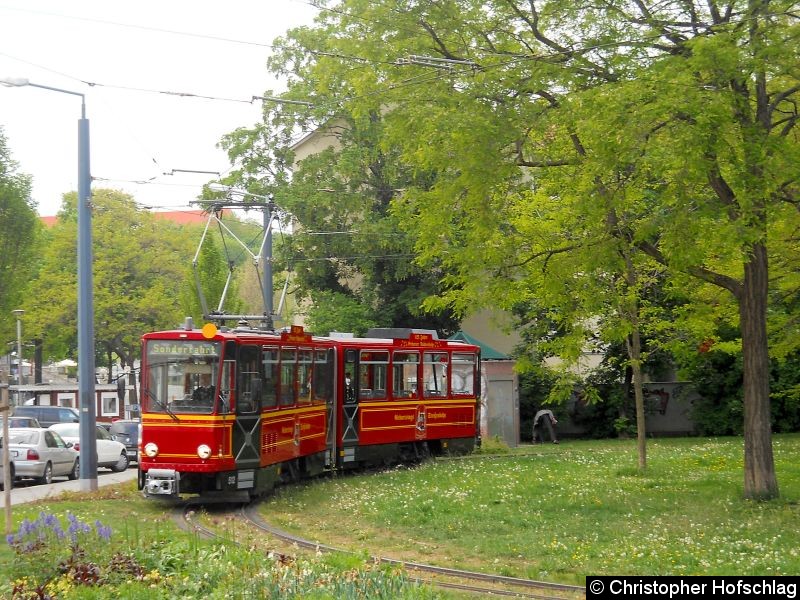 Bild: Domplatz Schleife.