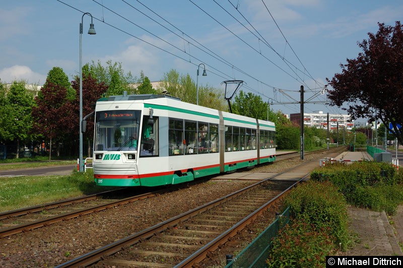 Bild: 1315 als Linie 3 an der Haltestelle Sternbogen.