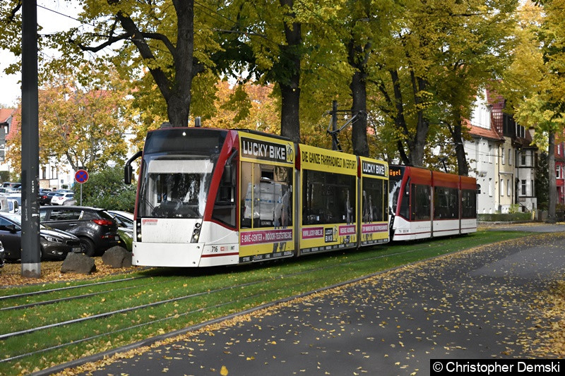 Bild: TW 716+714 als Linie 4 in der Windthorststraße in Richtung Wiesenhügel.