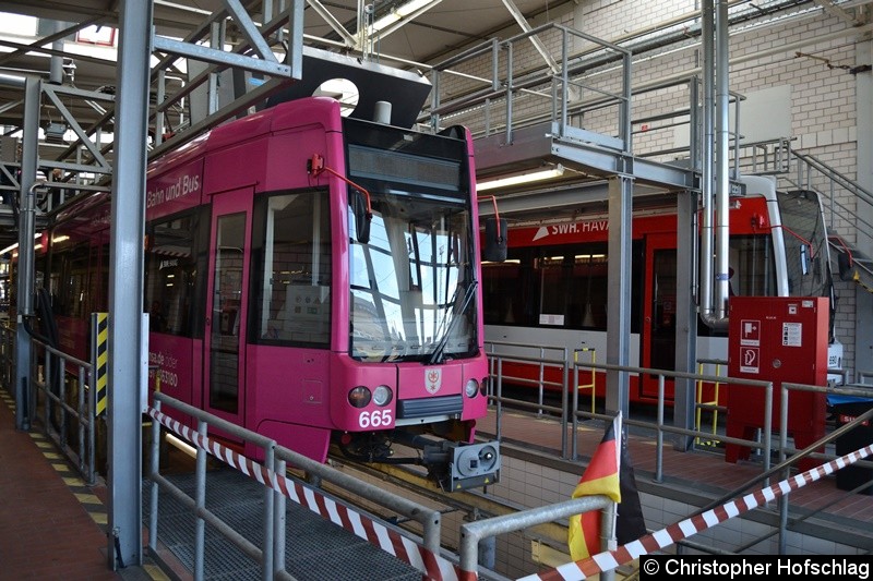 Bild: MGT-K 665 warten auf seine Gäste, die ihnen mal aufs Dachen schauen dürfen.