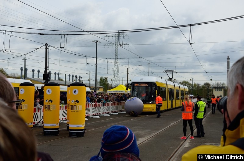 Bild: Die fünfte und letzte Disziplin: Das Tram-Bowling. Aufgestellt wurden sechs Kegel, diese mussten mit der Kugel 