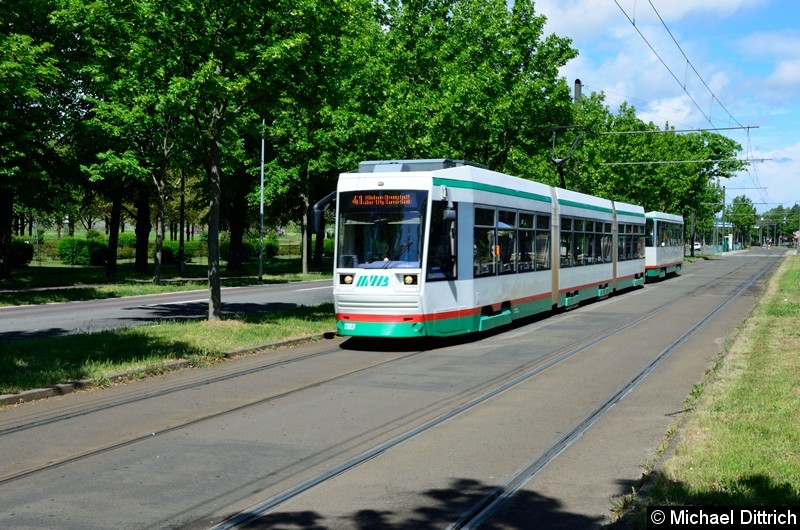 Bild: 1303 + 2210 als Linie 41 kurz vor der Haltestelle Jerichower Platz.