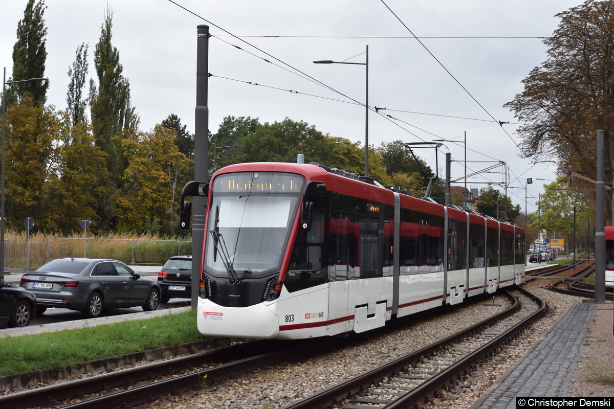 Bild: TW 803 als Linie 1 an der Thüringenhalle.